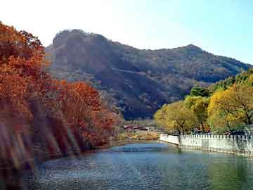 仿真绿植花坛摆件价格表,仿真绿植花坛摆件价格表图片